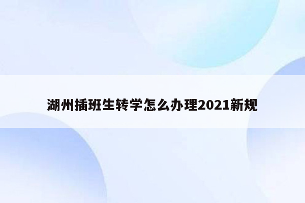 湖州插班生转学怎么办理2021新规