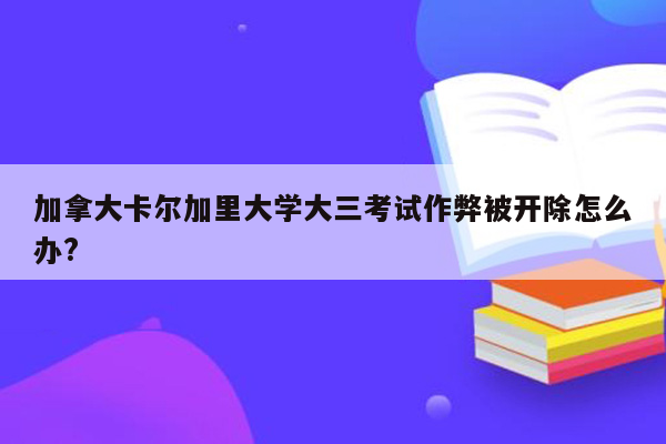 加拿大卡尔加里大学大三考试作弊被开除怎么办?