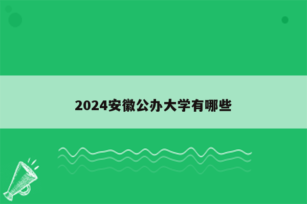 2024安徽公办大学有哪些