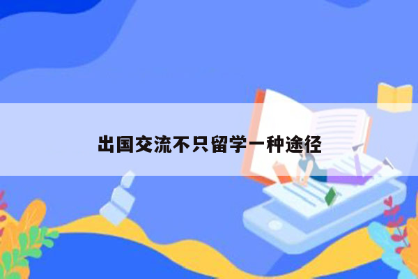 出国交流不只留学一种途径