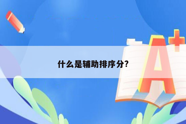 什么是辅助排序分?