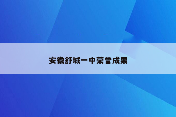 安徽舒城一中荣誉成果