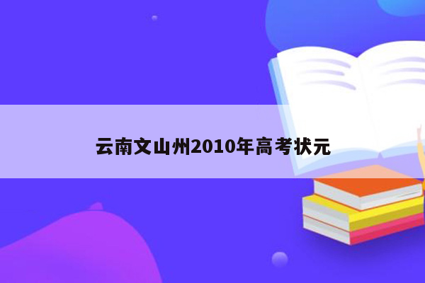 云南文山州2010年高考状元