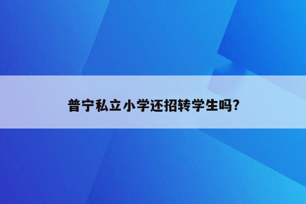 普宁私立小学还招转学生吗?