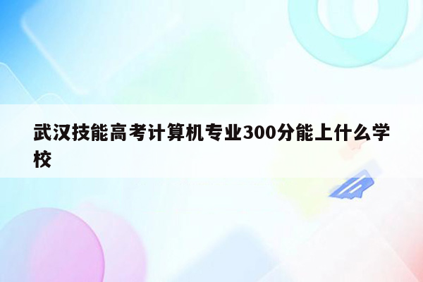 武汉技能高考计算机专业300分能上什么学校