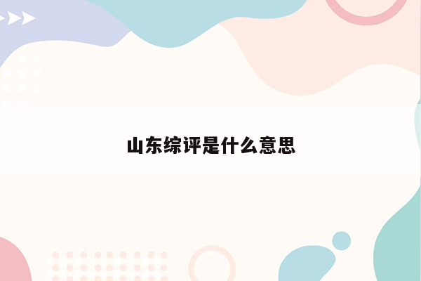 山东综评是什么意思