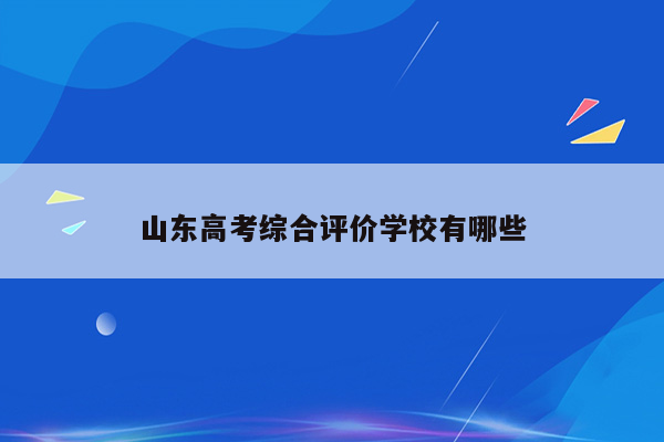 山东高考综合评价学校有哪些