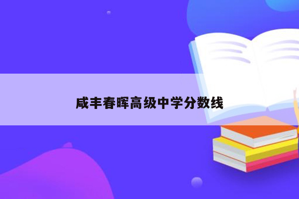 咸丰春晖高级中学分数线