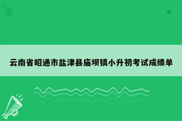 云南省昭通市盐津县庙坝镇小升初考试成绩单