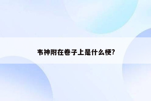 韦神附在卷子上是什么梗?