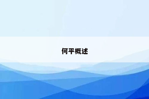 何平概述