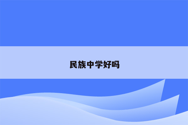 民族中学好吗