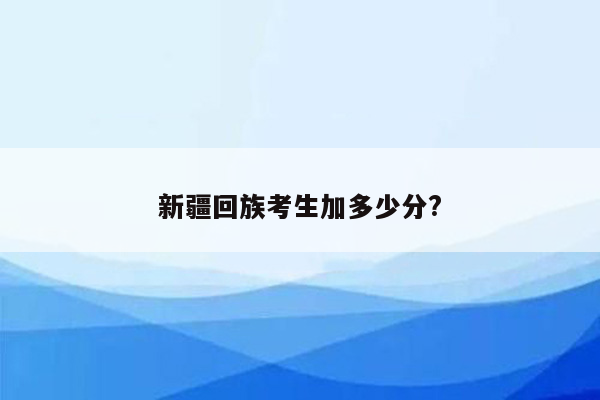 新疆回族考生加多少分?