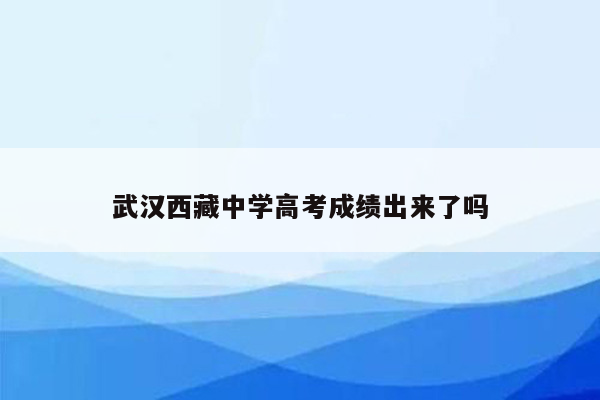 武汉西藏中学高考成绩出来了吗