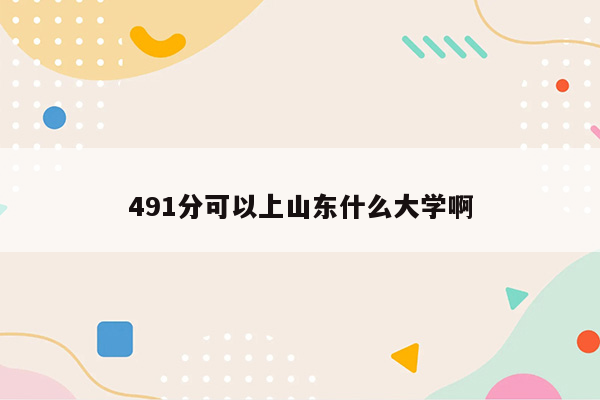 491分可以上山东什么大学啊