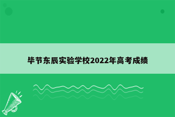 毕节东辰实验学校2022年高考成绩