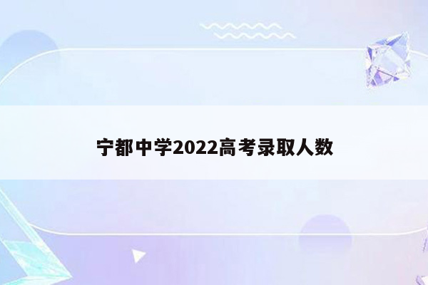 宁都中学2022高考录取人数