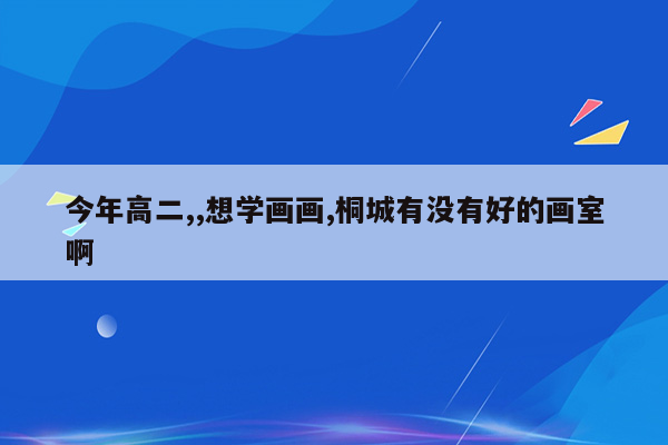 今年高二,,想学画画,桐城有没有好的画室啊