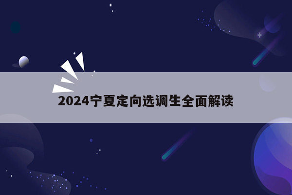 2024宁夏定向选调生全面解读