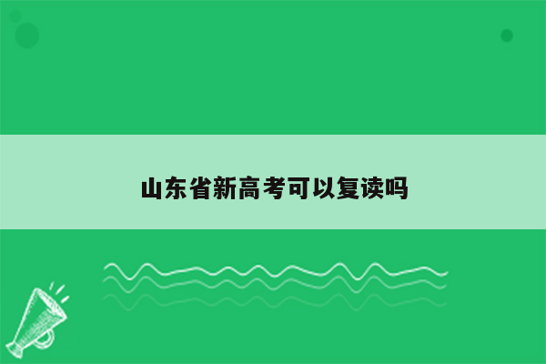 山东省新高考可以复读吗