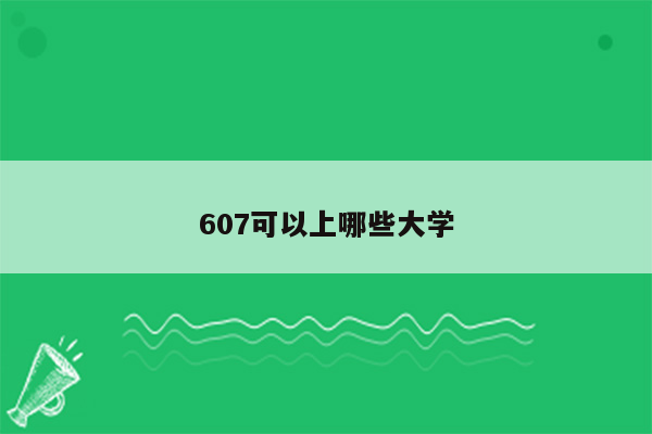 607可以上哪些大学