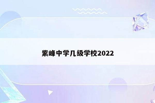 紫峰中学几级学校2022