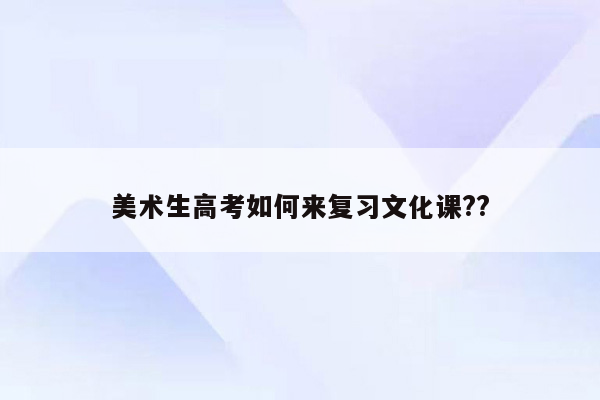 美术生高考如何来复习文化课??