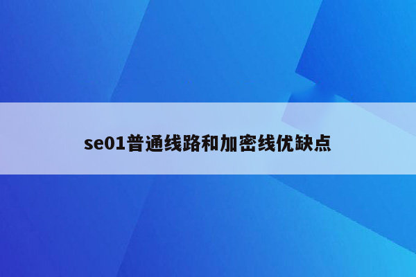 se01普通线路和加密线优缺点