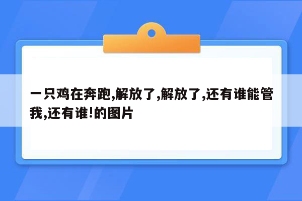 一只鸡在奔跑,解放了,解放了,还有谁能管我,还有谁!的图片