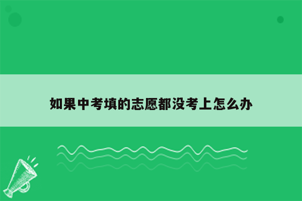 如果中考填的志愿都没考上怎么办