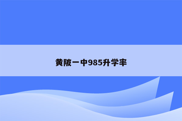 黄陂一中985升学率