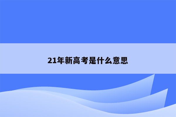 21年新高考是什么意思