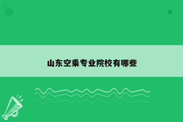 山东空乘专业院校有哪些