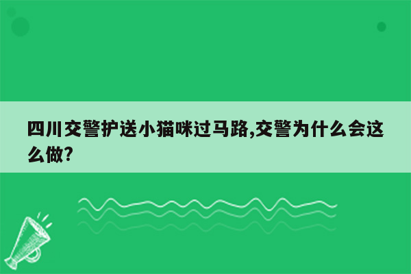 四川交警护送小猫咪过马路,交警为什么会这么做?