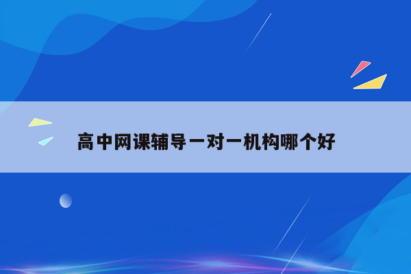 高中网课辅导一对一机构哪个好