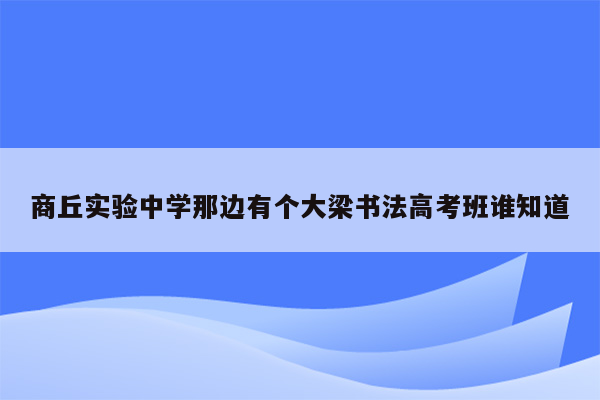 商丘实验中学那边有个大梁书法高考班谁知道