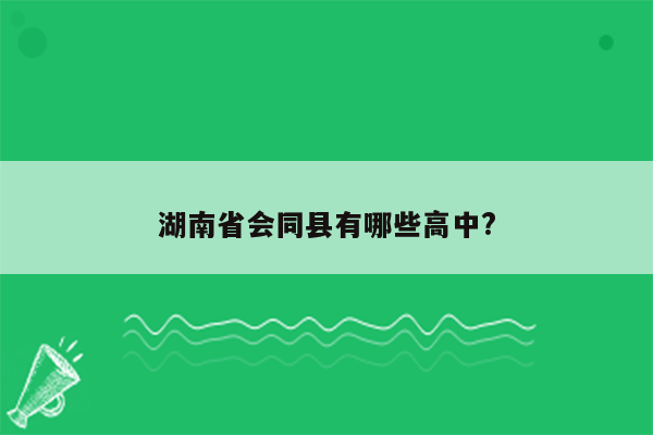 湖南省会同县有哪些高中?