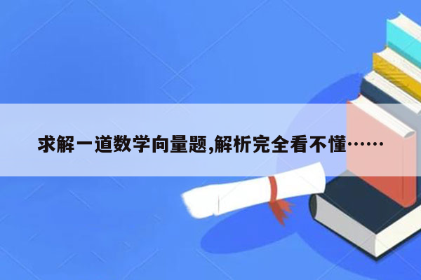 求解一道数学向量题,解析完全看不懂……