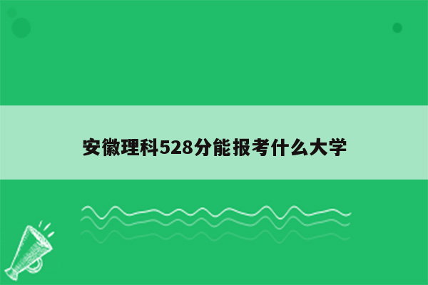 安徽理科528分能报考什么大学