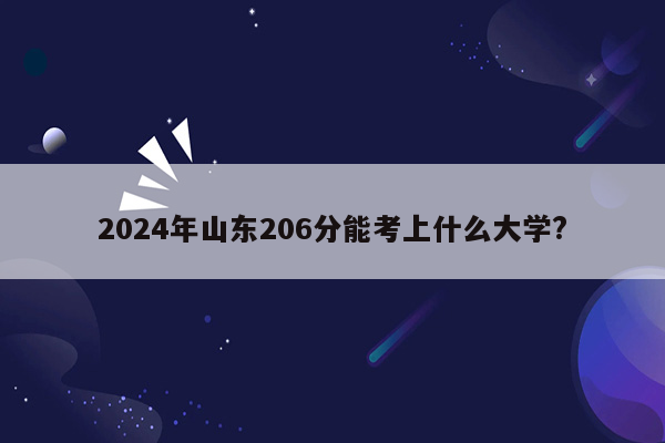 2024年山东206分能考上什么大学?