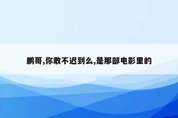 鹏哥,你敢不迟到么,是那部电影里的