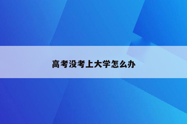 高考没考上大学怎么办