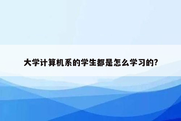 大学计算机系的学生都是怎么学习的?