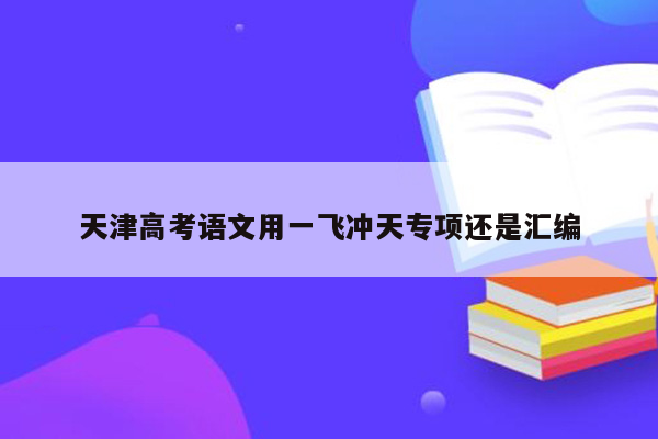 天津高考语文用一飞冲天专项还是汇编