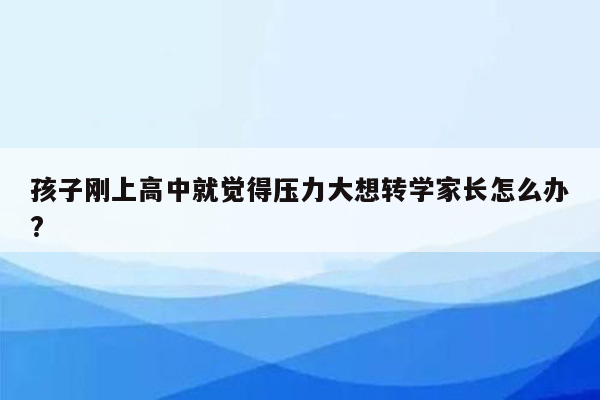 孩子刚上高中就觉得压力大想转学家长怎么办?