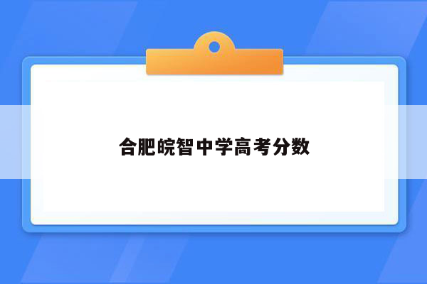 合肥皖智中学高考分数