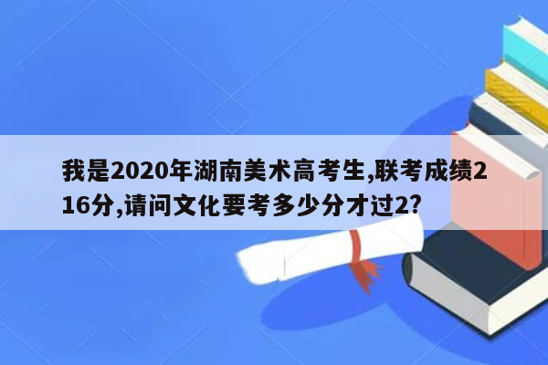 我是2020年湖南美术高考生,联考成绩216分,请问文化要考多少分才过2?