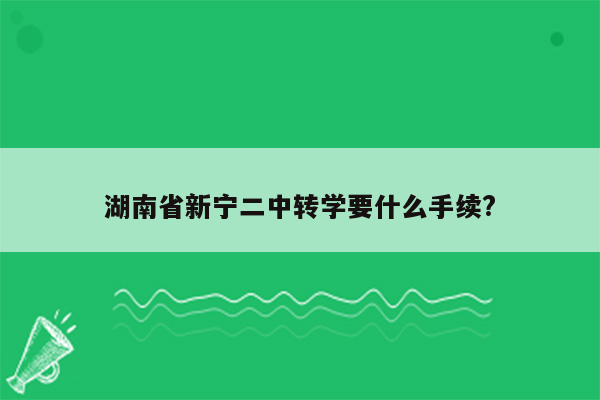 湖南省新宁二中转学要什么手续?