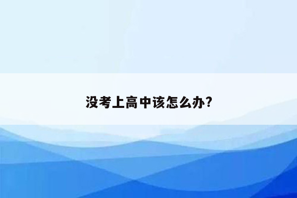 没考上高中该怎么办?