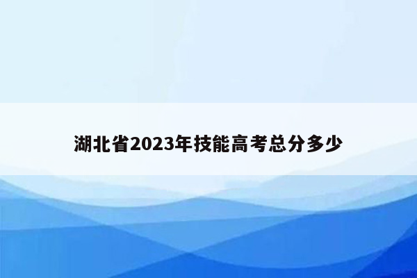 湖北省2023年技能高考总分多少